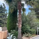 Baccara, Piscine Privee, Plages A Pieds Villa Saint-Raphael (Var)